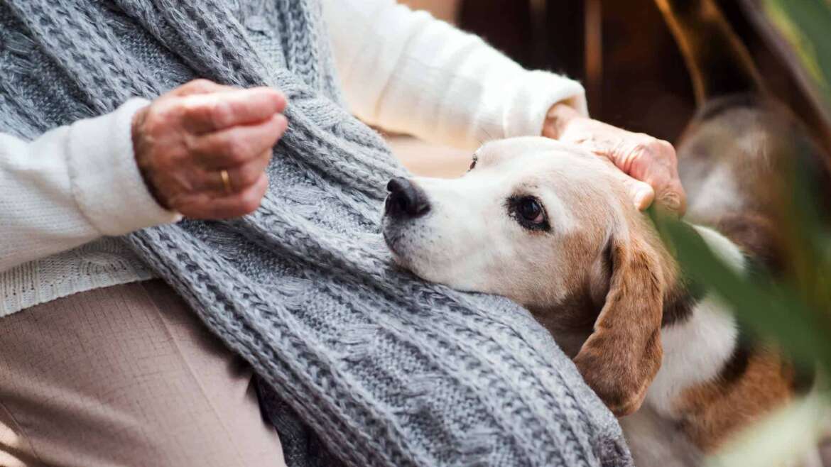 La Toscana apre le porte degli ospedali agli animali domestici