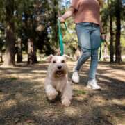Hai appena preso un cane? Ecco da dove cominciare! I consigli dell’educatore Cinofilo Chiara Minervini