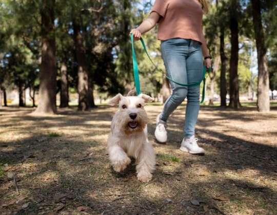 Hai appena preso un cane? Ecco da dove cominciare! I consigli dell’educatore Cinofilo Chiara Minervini