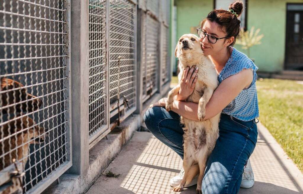 Le adozioni di cani e gatti in Italia nel 2024 secondo Eurispes