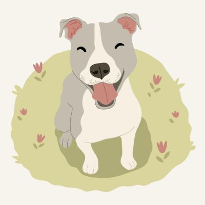 L’aggressività dei cani
