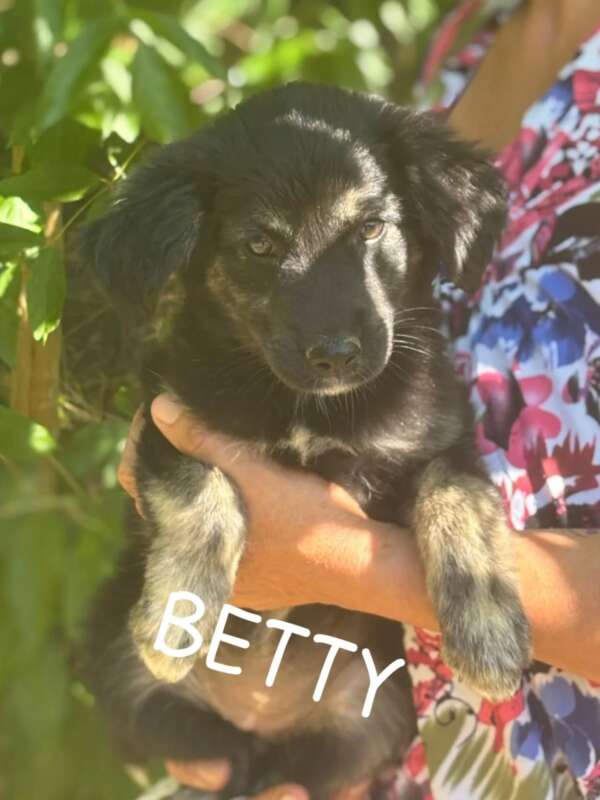 BARBIE e BETTY - immagine 2