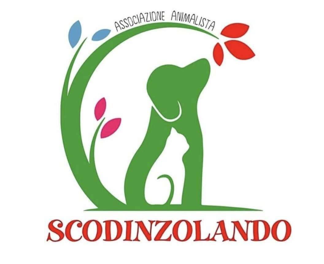 Diamoci una zampa – collaborazione con l’Associazione Scodinzolando di Maenza