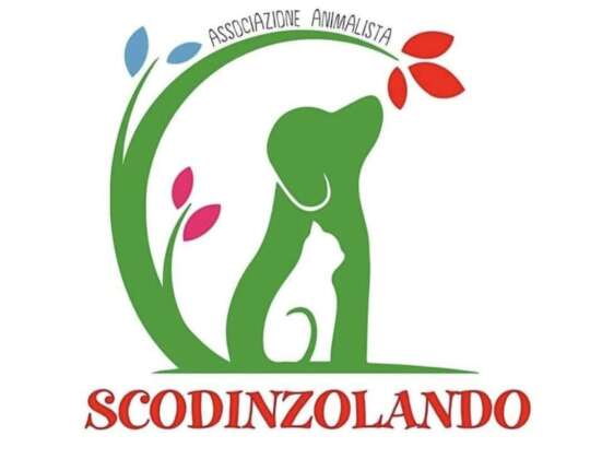 Diamoci una zampa – collaborazione con l’Associazione Scodinzolando di Maenza