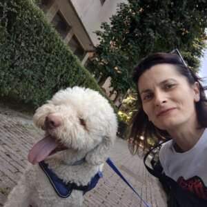 cane adottato