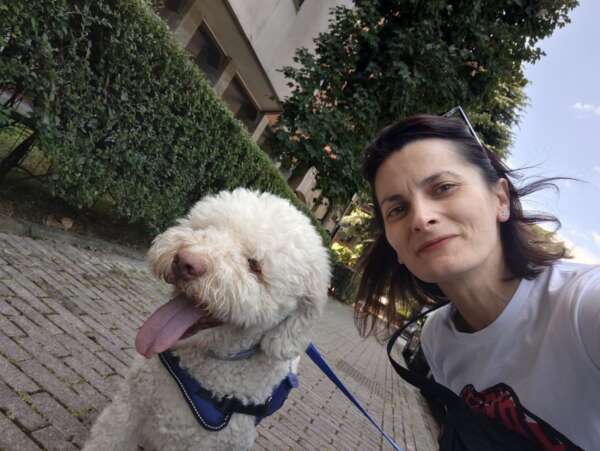 cane adottato
