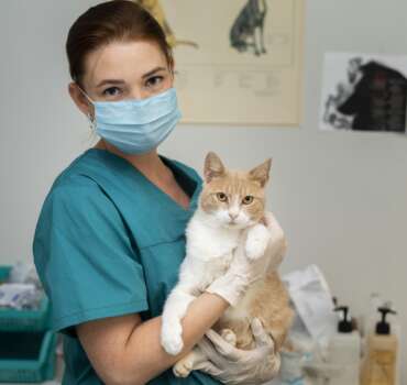 vet_1 vet 1