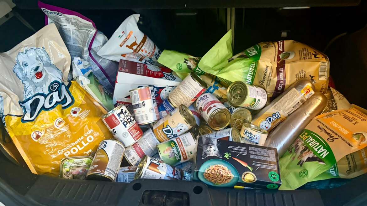 Raccolta cibo a Latina: un immenso grazie a chi ha teso una zampa a L’Isola dei Tesori!