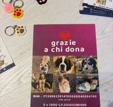 raccolta-cibo-isola-dei-tesori-latina-6 Sabato 19 settembre raccolta cibo presso il negozio Isola dei Tesori in V.le XXI Aprile 43 a Latina - associazione oltre i confini di specie odv