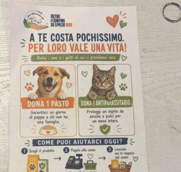 raccolta-cibo-isola-dei-tesori-latina-7 Sabato 19 settembre raccolta cibo presso il negozio Isola dei Tesori in V.le XXI Aprile 43 a Latina - associazione oltre i confini di specie odv