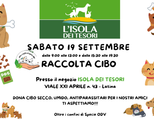 SABATO 19 settembre 2026 – Raccolta cibo presso il negozio ISOLA  DEI TESORI –  LATINA
